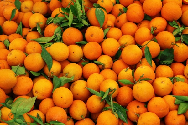 orange_fruit_pattern