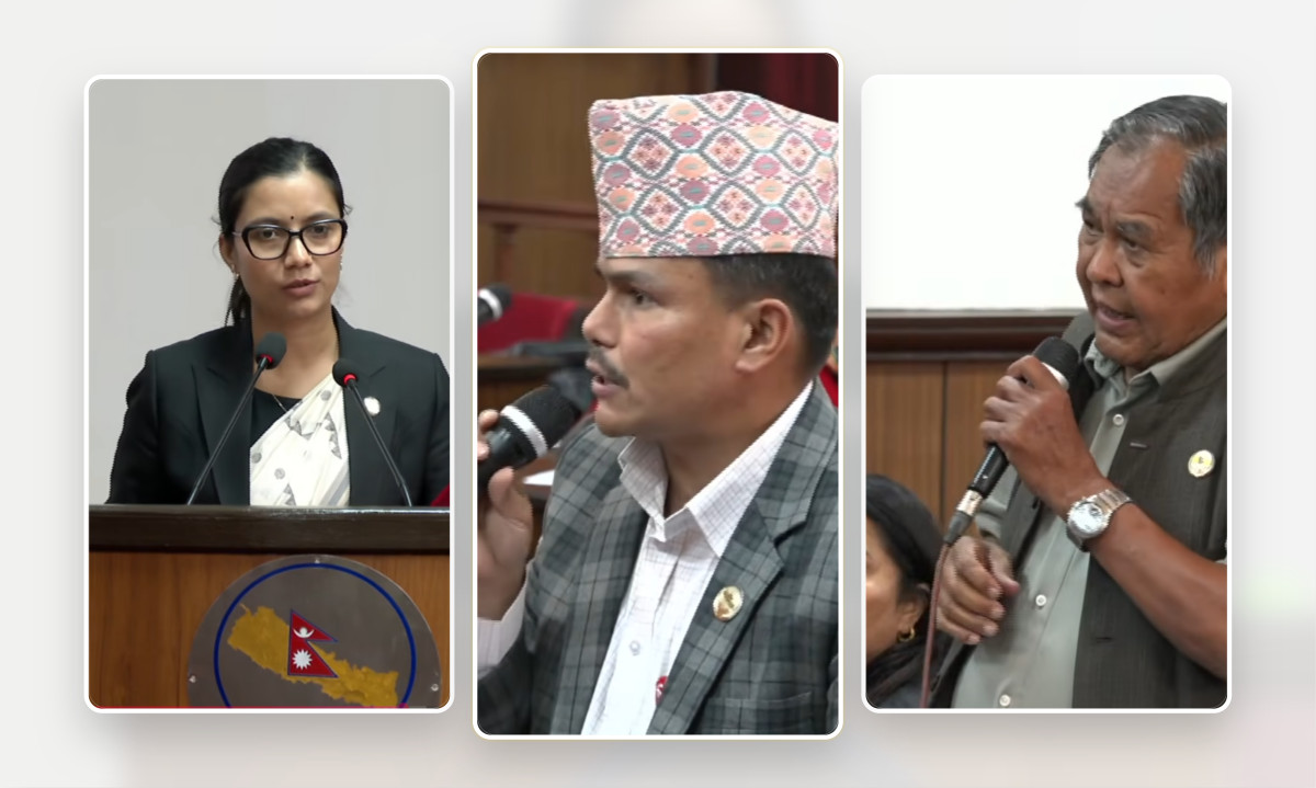 प्रतिनिधि सभा सदस्य निर्वाचन विधेयकमा अपांगता भएका व्यक्ति र अल्पसंख्यक समुदायको प्रतिनिधित्व सुनिश्चित गर्न माग